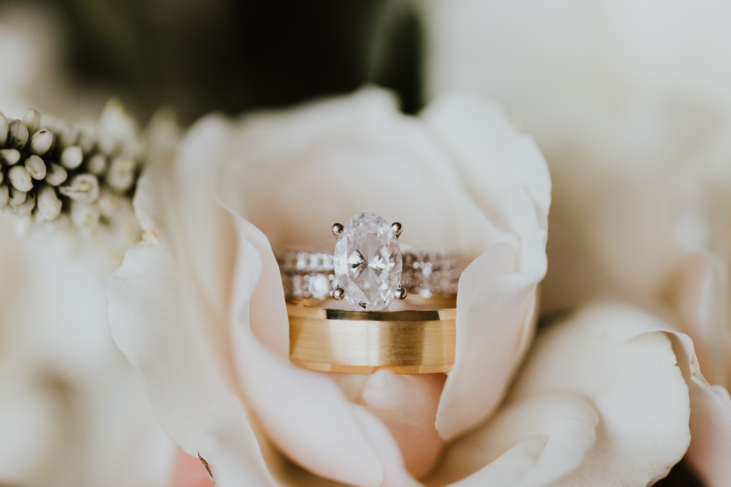 engagement ring and wedding bands together on pink rose 