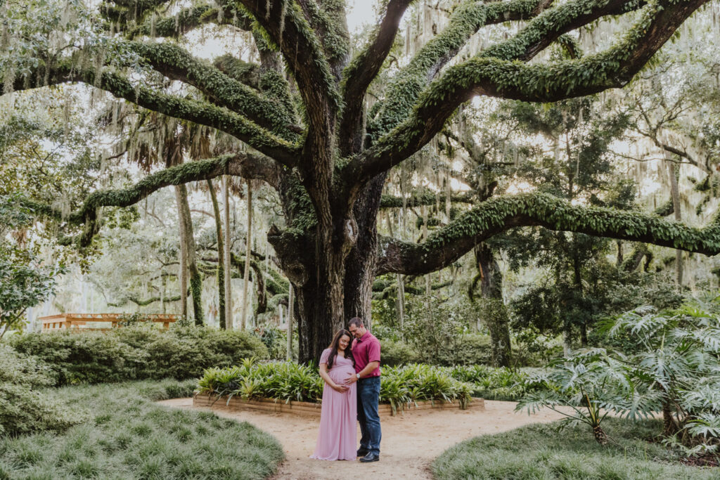 couple standing together and looking down at growing belly while standing in front of large oak tree at washington oaks garden during maternity session