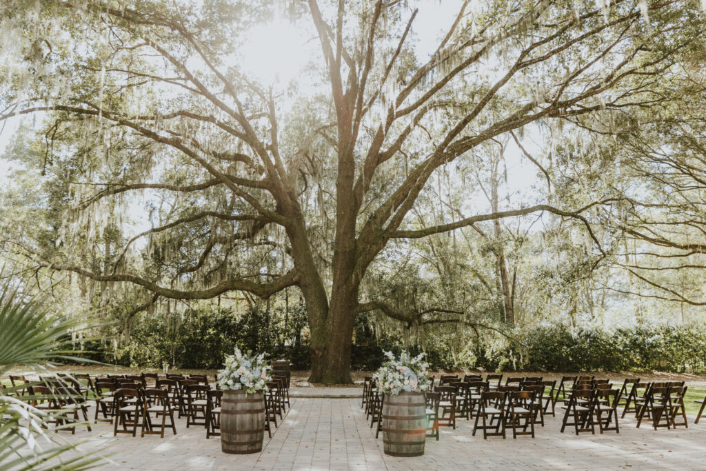 grand oak tree wedding ceremony location set up with chairs, barrels and florals at bowing oaks