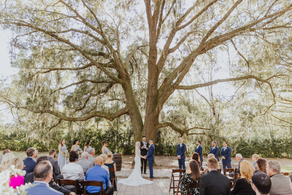 wedding party standing at alter under grand oak tree ceremony of bowing oaks with guests seating and watching 