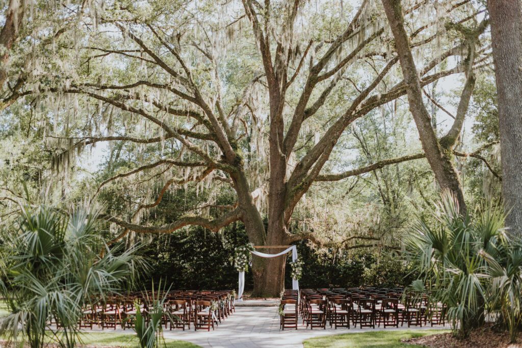 ceremony area of bowing oaks under massive oak tree with wooden arch draped with white fabric and florals and chairs set up on either side of aisle